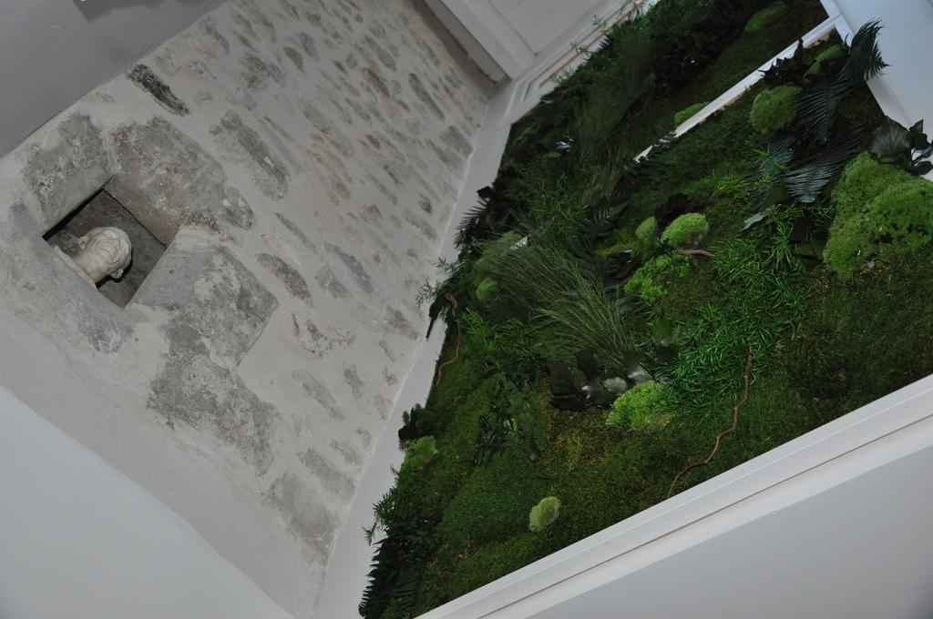 Holiday In Arles -Maison Du Centre Historique エクステリア 写真